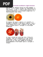 Alimentos Com Formato Semelhante a Órgãos Humanos