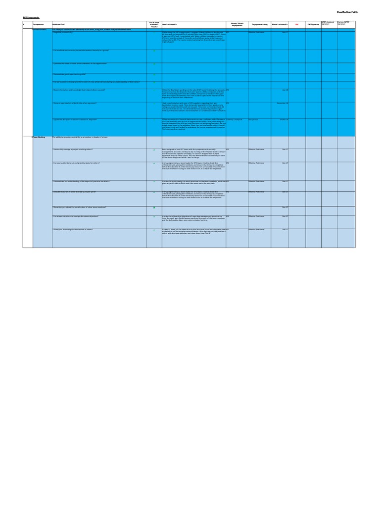 Example of ICAEW Practical Work Experience | PDF | Goal | Risk
