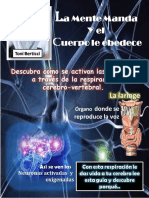 264266400-Guia-activacion-de-las-neuronas-pdf.pdf