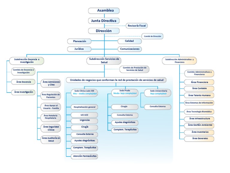 Organigrama de IPS y Servicios de Salud | PDF | Hospital | Cuidado de ...