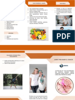 Triptico - Cancer PDF