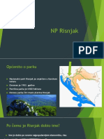 NP Risnjak