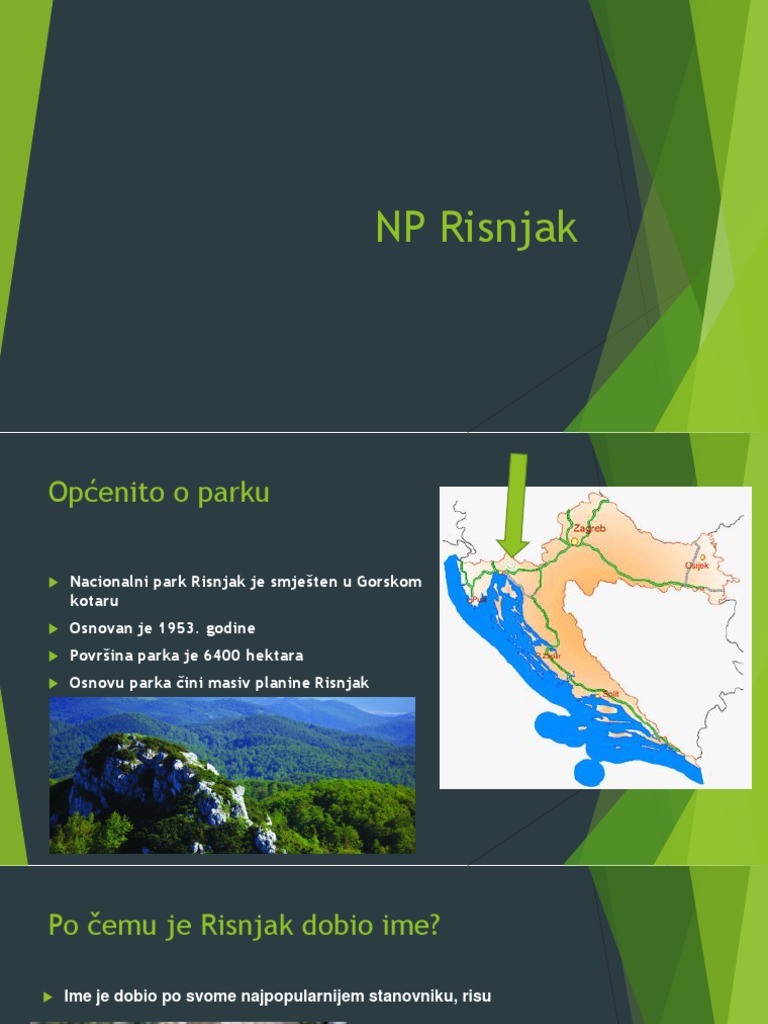 NP Risnjak | PDF