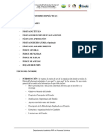 Estructura Del Informe y Planillas Practicas Profesionales