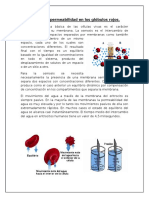 327052067-Osmosis-y-Permeabilidad-en-Los-Globulos-Rojos.pdf