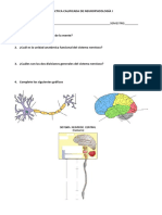 Práctica Calificada de Neuropsicología I