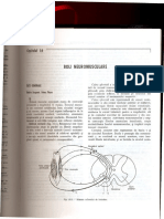 Sistemul Neuromuscular - Ciofu