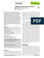 Help wanted: Understanding plant immune responses mediated by helper NLRs