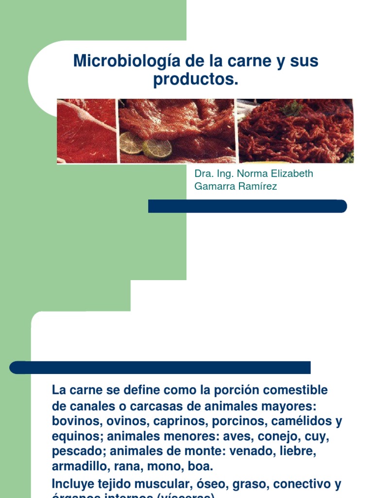 Microbiología y alteraciones en la carne | PDF | Carne | Microorganismo