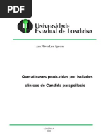 Capa e Contra-capa Plano Ana