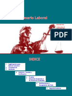 El Proceso Sumario Laboral