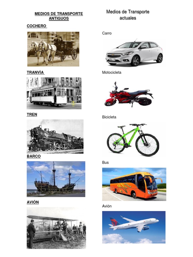Medios de Transportes 2019 | PDF