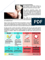 Prevención Del Embarazo en Adolescentes