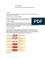 Cómo se forma un coágulo sanguíneo en 4 pasos