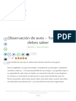 Observación de Aves - Todo Lo Que Debes Saber