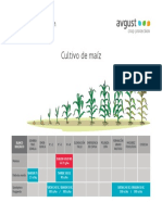 PDF Alta Cultivo Maiz