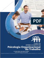 Psicologia Organizacional e Do Trabalho