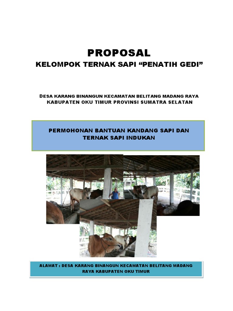 Proposal Bantuan Ternak Sapi OKU Timur | PDF