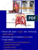 Sistem Pernapasan