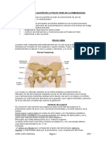 Evaluacion de La Pelvis Osean