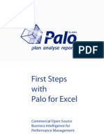 First Steps With Palo For Excel