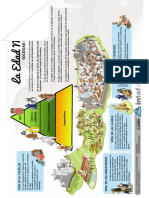 EsqueMa Sociedad Feudal