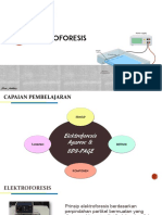 Elektroforesis 2019 PDF