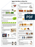 Fat Burning Foods PDF
