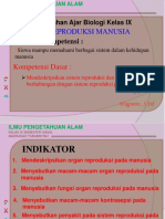 Sistem Reproduksi Pd Manusia