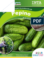 Recomendaciones Produccion Pepino 2018 PDF