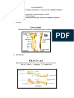 Morfofisiologia