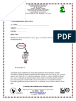 Tarea Paradoja Mecanica