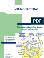 2 y 3. Bacterias.ppt