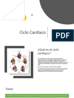 Ciclo Cardiaco Fisio