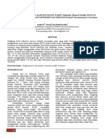 PEMBUATAN_BIOETANOL_DARI_SINGKONG_KARET.pdf