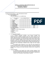 Lembar Kerja Laporan Praktikum Ipa SD PD