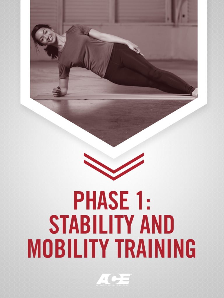 Ace Phase 1 - Stability and Mobility Training | PDF | Anatomical Terms ...