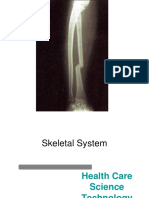 Skeletal System ppt.ppt
