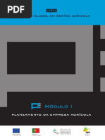 Planeamento de empresa agricola