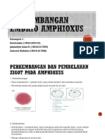 Baru PPT Perkembangan Embrio Amphioxus