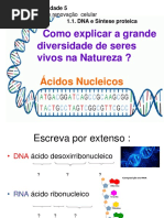 2. Ácidos Nucleicos Alunos- 11º