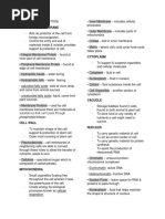 Cell/Plasma Membrane