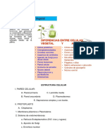 ESTRUCTURA CELULAR exa.docx