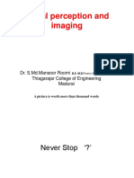 Vis Perc and Imaging CIT