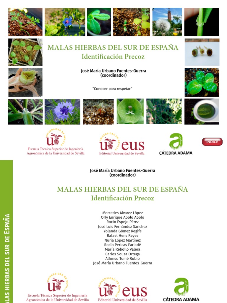 Malas Hierbas | PDF | Hoja | Tallo de la planta