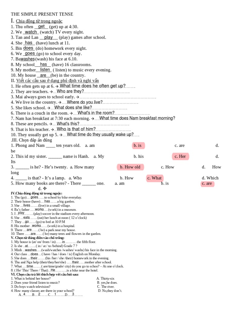 Simple Present Tense Exercises | PDF