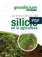 Manual Importancia Del Silicio 2019