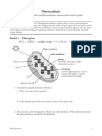 Photosynthesis-S PDF
