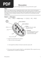 Photosynthesis-S PDF