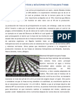 Sistemas Hidroponicos y Soluciones Nutritivas para Fresas PDF